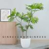 Árbol simulado Mimosa nueva planta biónica Zen china con fruta árbol falso en maceta sala de estar interior planta verde decorativa