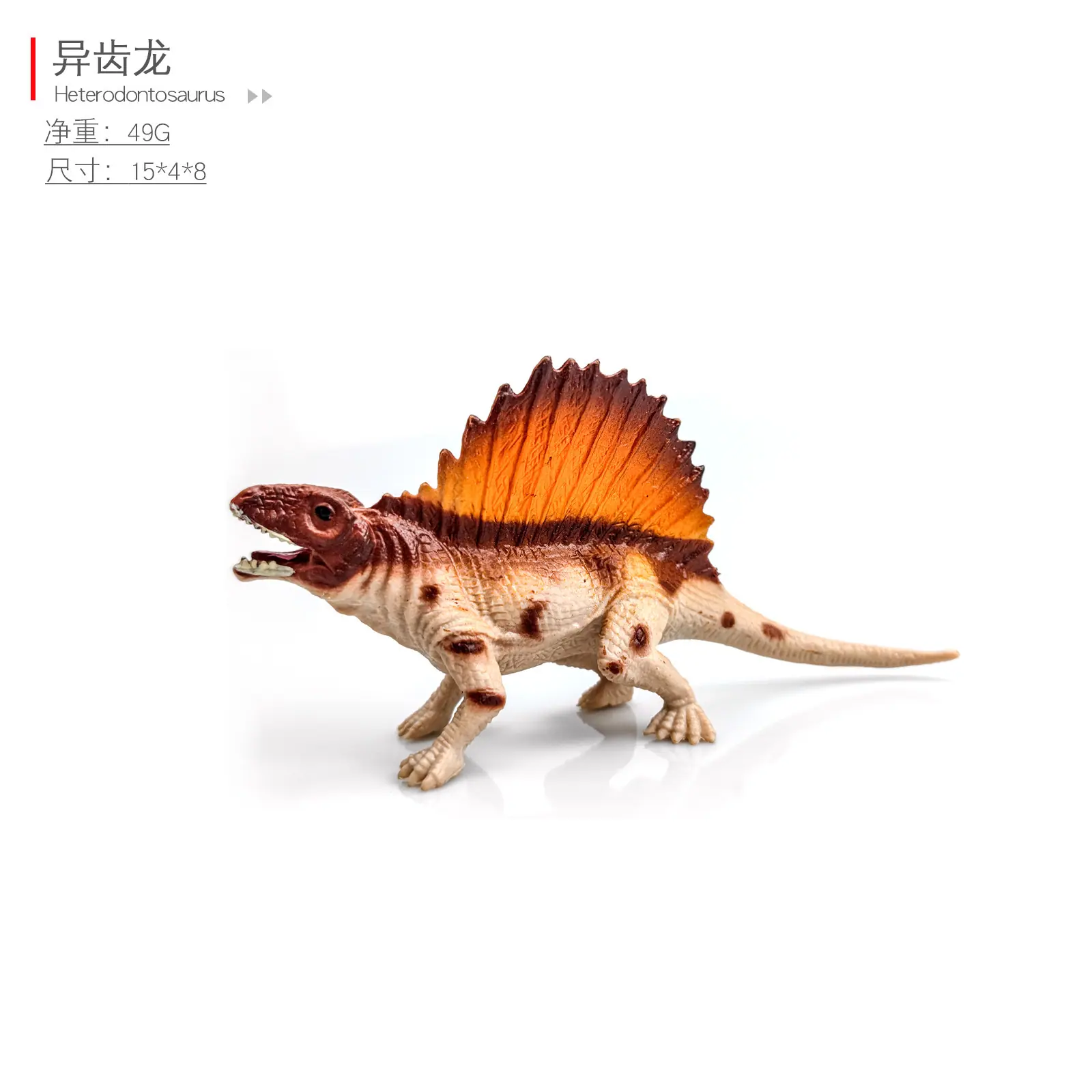 异齿龙