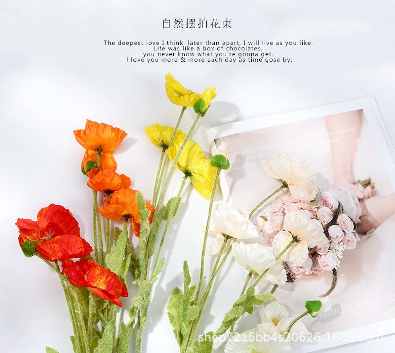 虞美人