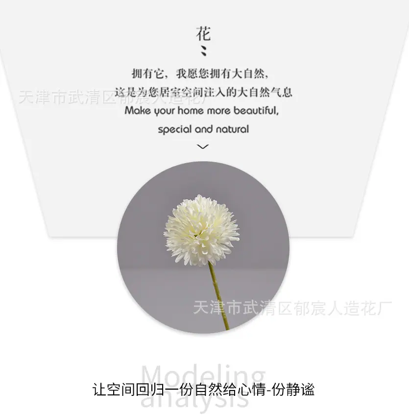 详情_09.jpg