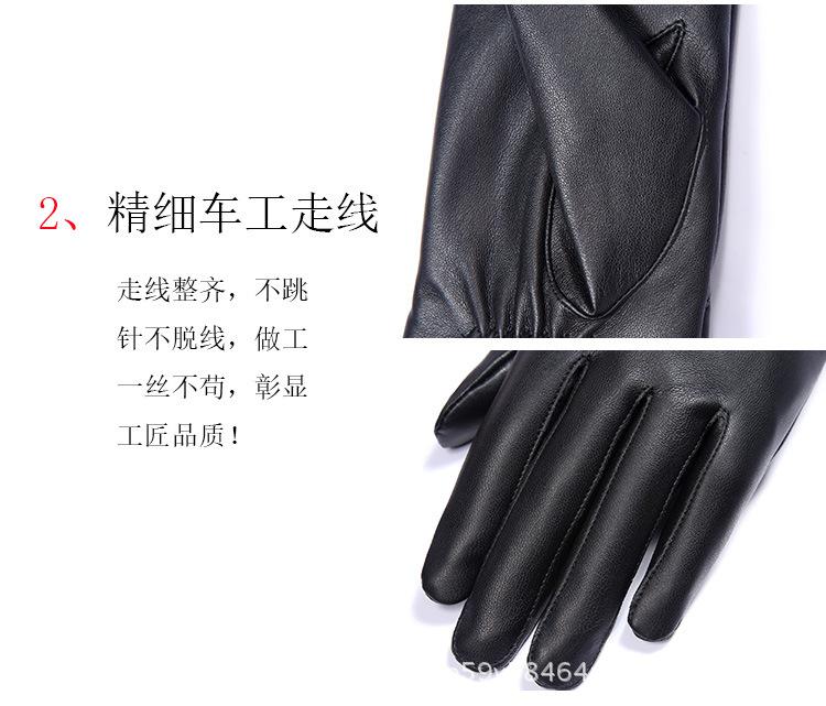 带叶毛球删_09.jpg