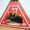 Caixa de Papelão para Gatos com Estampa Personalizada de Casa de Sushi para Gatos, Caixa Casa para Gatos de Papelão Ondulado Integrada Resistente a Arranhões e Desgaste