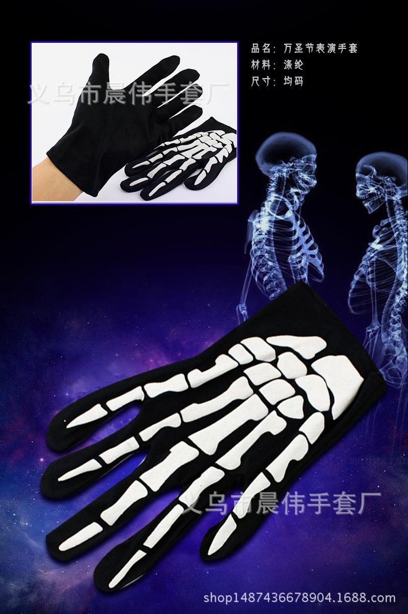 3257255338_512572010