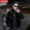 Abrigo de piel sintética de visón para hombre, chaqueta de cuero Haining, chaqueta de invierno con solapas, abrigo de piel, piel de visón dorada engrosada