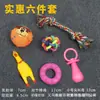 Pelota de Juguete para Perro Mascota, Para Dentición, Resistente a Mordidas, Pollo que Chilla, Teddy, Kirkland, Cachorro, Suministros para Alivio del Sonido