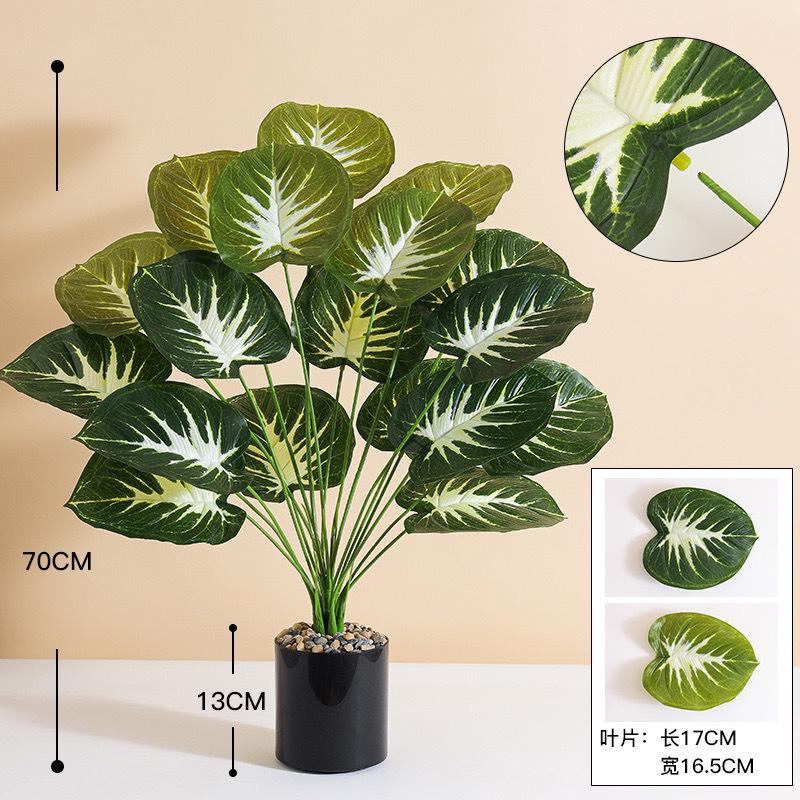 bf74abaf-806e-45d4-90d2-d7302f2244e3.jpe