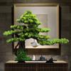 Novos Enfeites de Planta em Vaso Pinheiro de Boas-Vindas Estilo Chinês Decoração de Paisagem Zen para Entrada de Casa Sala de Estar Mesa de Escritório