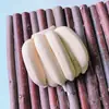 Piedra de Calcio Frutal Kelly Cobaya Conejo Hámster Piedra Molar Suministros para Hámster Suministros para Mascotas Pequeñas Loro Juguete para Morder