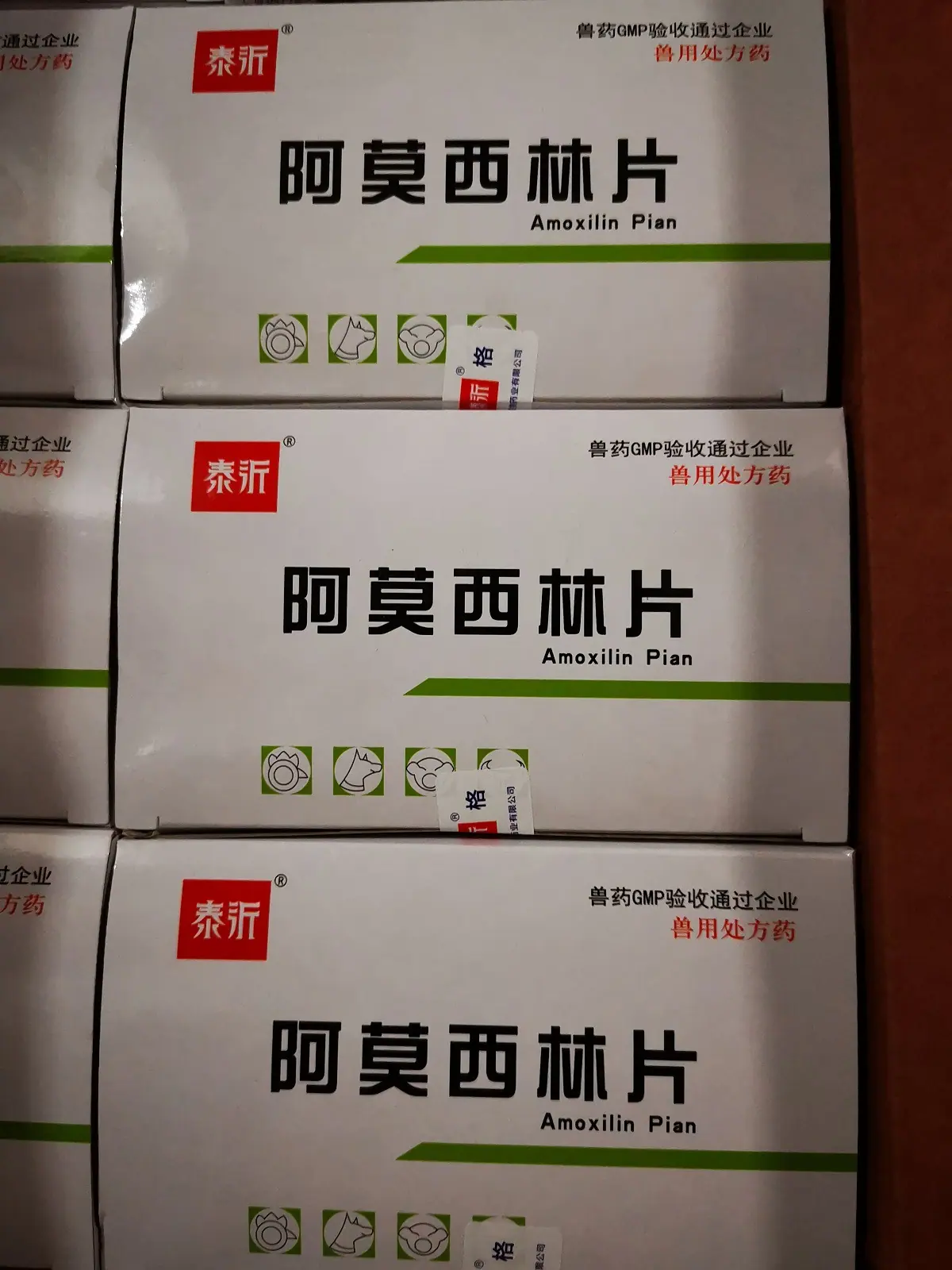 阿莫西林片2.jpg