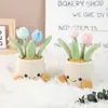 Planta Suculenta Tulipán de Venta Caliente Transfronteriza Maceta Pequeños Adornos para Escritorio de Oficina Regalos de Tejido de Lana para Maestros y Mejores Amigos