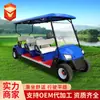 Carrinho de Golfe 2-8 Lugares Quatro Rodas Atração Turística Passeio Visualização de Propriedades Carro de Transferência para Recepção Carro Elétrico de Passeio