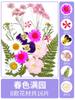 Flores Secas Reales Marcapáginas Hechos a Mano por Estudiantes Paquete de Materiales DIY para Niños Piezas de Flores Epoxi Pétalos Hojas Especímenes Materiales Florales