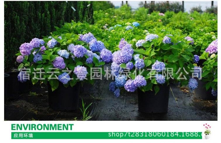 鍏粰缁ｇ悆鑺辫缁?