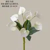 Ramo de Anturio Rojo de 7 Cabezas Xia Xi Estilo Ins Fabricante de Flores Artificiales Decoración del Hogar Boda Transfronteriza Venta al por Mayor Ramo de Mano Flores Falsas