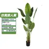 Planta de plátano de viajero artificial transfronteriza para decoración interior del hogar, planta de plátano de viajero artificial en maceta personalizable y desmontable