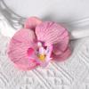 Cabeças de Orquídea Borboleta Personalizadas, Pétalas, Acessórios de Flores Simuladas, Adereços de Cabeça com Flores, Grampos de Cabelo, Pingentes para DIY, Casamentos Feitos à Mão