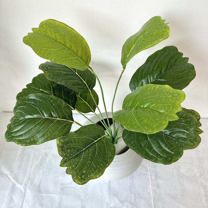 绿蜻蜓