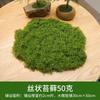 Simulação transfronteiriça musgo musgo artificial gramado relva planta verde decoração de parede paisagem bonsai pavimento filiforme musgo falso