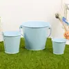 Venta al por mayor de fábrica Cubo de metal de hojalata de colores en maceta Mini cubo pequeño de hierro Adorno de artesanía creativa Cubo de hierro rojo de mano para niños