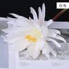Simulação Epiphyllum Mão Segurando Único Epiphyllum Hanfu Roupas Antigas Adereços de Fotografia Casa Ornamentos de Sala de Estar Único Grande Epiphyllum