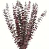 Buquê de Flores Secas Flores Preservadas Folhas de Eucalipto Estilo Boêmio Decoração Sala de Estar Buquê Multicolorido Arranjo de Banquete