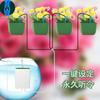 Riego automático interior NC DIY máquina de riego inteligente máquina de riego para plantas perezosas riego de macetas riego inteligente gotas para flores