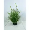Planta de Hierba de Junco Simulada Personalizada Bonsái Decoración de Ventana Piso Hierba Cola de Perro Heno Césped Cebolla Planta Verde Planta en Maceta