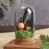 Paquete de Materiales DIY de Flores Secas Flor Inmortal Cubierta de Vidrio Adornos Decorativos Regalo Hecho a Mano para Niños Día de la Madre Construcción de Equipo Salón