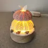 Lembranças de Hainan Sanya Qingdao Lâmpada de Ouriço-do-mar Ornamento de Presente Artesanato de Conchas Luz Noturna Especialidade de Dalian Produtos Acabados