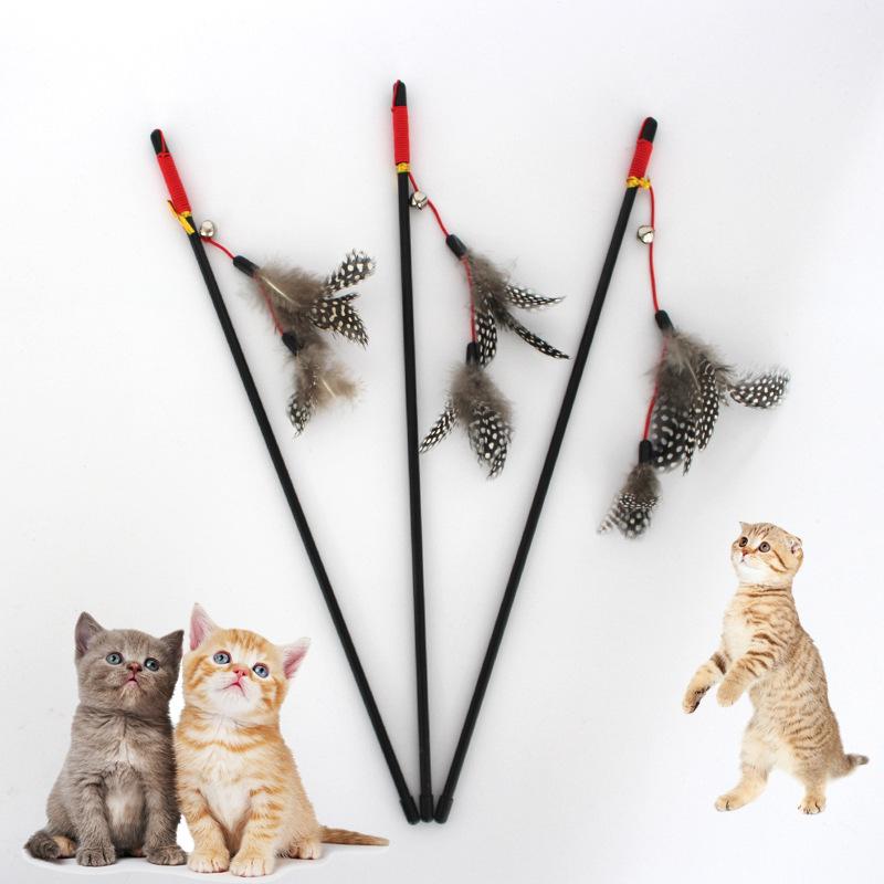 QQ图片20170928100605