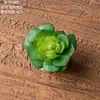 Lótus da Neve de Borda Arredondada Paisagem Micro Interna Planta Suculenta Estilo Ins Flor Artificial Fabricante Decoração de Casa Decoração de Casamento Transfronteiriço