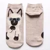 Nuevos Calcetines de Algodón Estilo Japonés y Coreano para Primavera y Verano para Mujer Calcetines de Mascota de Dibujos Animados Calcetines Lindos de Gato y Perro para Mujer Lote