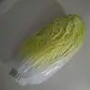 Verduras, maíz, tomates, rábanos, zanahorias, pimientos, raíz de loto, col, modelos de plástico de verduras