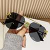 Nuevas Gafas de Sol Transfronterizas Europeas y Americanas de Alto Sentido para Hombre, Moda, Celebridad de Internet, Mismo Estilo, para Mujer, Cara Grande, Adelgazantes, Gafas de Sol con Cabeza de Leopardo