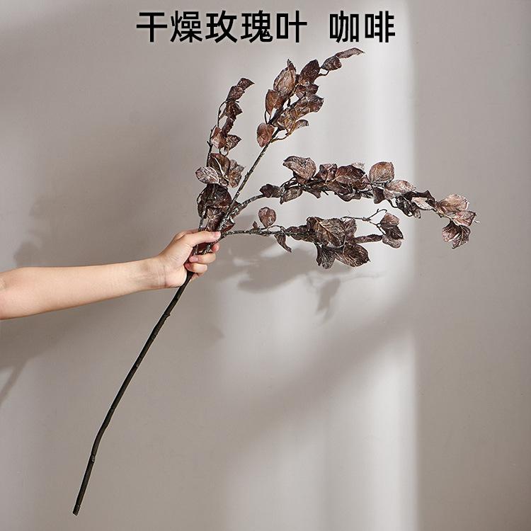 干燥玫瑰叶 咖啡