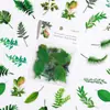 Adesivos Simples de PET Flores Retrô Plantas Adesivos para Diário Diário Adesivos Decorativos Para Alunos do Ensino Fundamental Papelaria DIY