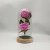 Ornamento de Cúpula de Vidro com Flor Rosa Dupla Preservada e Luz, Decoração de Presente para o Dia dos Namorados, Atacado do Fabricante