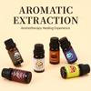 Exportação Transfronteiriça Óleo Essencial de Aromaterapia Solúvel em Água 10ml Completo em Inglês Pão de Gengibre Geleia de Frutas Vermelhas Tema de Natal Óleo Essencial de Aromaterapia
