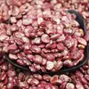 Feijão Zebra de Yunnan Nova Colheita Produzido na Fazenda Grãos Grandes, Grãos em Sachê, Feijão Arroz para Sopa e Mingau, Feijão Zebra