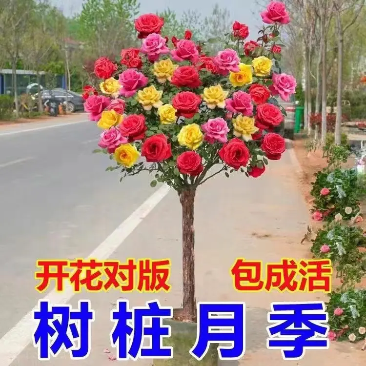微信图片_20221024194102