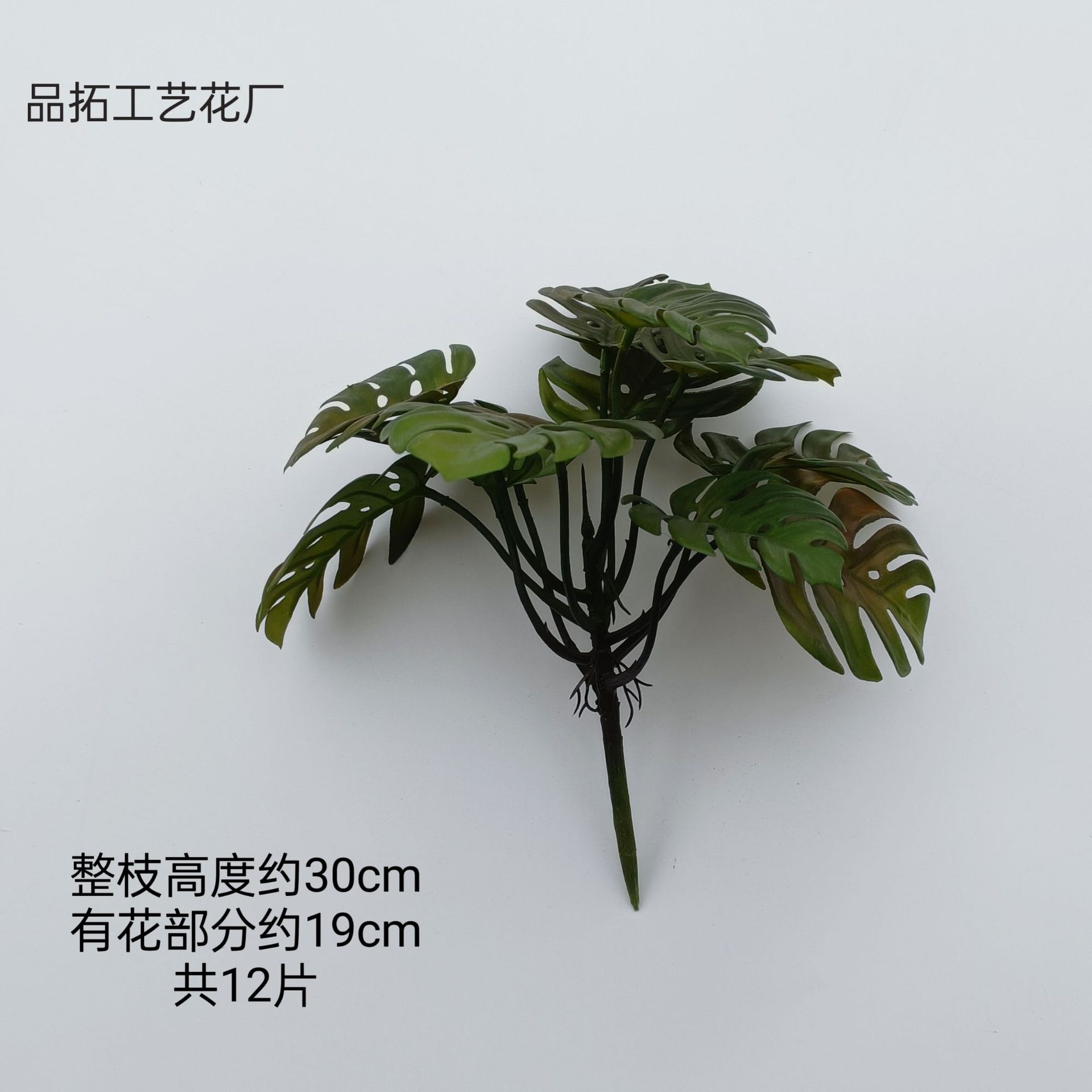 5ab595a163399a7707761f485ead22