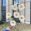 2024 novo champanhe cor cristal casamento auditório flor teto arranjo de flores atacado