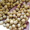 25 kg de Soja Amarilla Pequeña del Noreste de Heilongjiang para Uso Alimentario de Leche de Soja 25 kg Envío Gratis