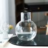 Vaso de vidro moderno simples Utensílios de bola transparente Flores hidropônicas Planta Decoração de flores Sala de estar Ornamentos de flores