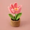 Puesto Callejero Tienda Artesanal Tejido Tulipán Floreciente Planta en Maceta de Lana Estudiante Lindo Aula Adornos de Ganchillo