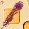 Serie de hojas de pavo real grandes coloridas accesorios colgantes navideños decoración de boda para muebles venta al por mayor de fábrica
