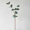Filme de Sensação 3D Simulação de Folha de Eucalipto Planta Verde 3 Garfo Cola ins Pequeno Arranjo de Flores Frescas com Folha Moderna Luz Luxo