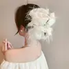 Presilha de Cabelo com Laço Multicamadas de Celebridade da Internet, Presilha Grande de Pena de Alto Padrão para Mostrar Volume do Cabelo, Presilha de Tubarão para Cabeça, Versátil