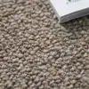 Tapete de Lã Natural da Nova Zelândia Sala de Estar Mesa de Centro Quarto Cobertor Estilo Moderno Simples de Luxo Leve Cor Sólida Tapete de Chão