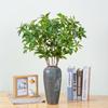 Simulación de plantas verdes caballo 3D borracho hojas de madera reloj colgante japonés sensación de hogar decoración de sala de estar adornos de fotografía boda flores falsas